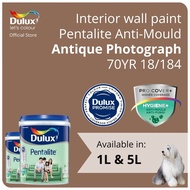 Dulux Interior Wall Paint - Antique Photograph (70YR 18/184)  (Pentalite Anti-Mould) - 1L / 5L