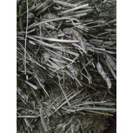 Timothy hay 2nd cut healthy life 1kg eat rabbit