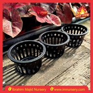 Pasu bunga orkid/ Orchid flower pot 4.2 x 6.5 (1pcs)/ Black pot orchid