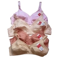 Elena Bra Without Wire Without Foam Medium Cup E 2013 Size 36B-42B