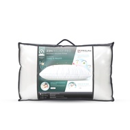 Frolina Zen Relief Pro Pillow ขนาด 19x29 inch