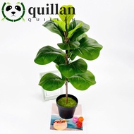QUILLAN Artificial Fiddle Leaves Fig Tree, Real Touch Plastic Fake Ficus Tree, Green Plant Vibrant L
