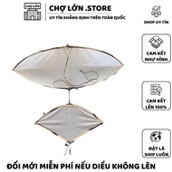 Cheap assembled 1m mini flute kite that can carry a return d15 flute - Cho Lon. Store Store Store