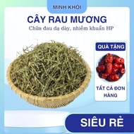 Ditch Vegetable Plant, ditch plant, clean and beautiful, class 1