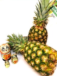 Rompine Pineapple MD2 (1pc) CERTAIN KLANG VALLEY AREA ONLY Fresh Pineapple Nenas 菠萝 Fresh Fruit