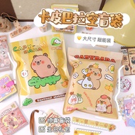 Carpillar Packaging Bag Storage Bag Mystery Bag Empty Bag Cute Capybara Gift Student Day 6 Children Gift Bag