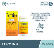 Fermino (Kapsul Ekstrak Cacing Tanah) 40 Kapsul - Obat Demam Tipes