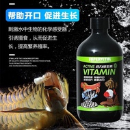 Subeto Aquatic Vitamin Arowana Dedicated Vitamin Nutrient Solution Ornamental Fish Anornamic Fish Ca