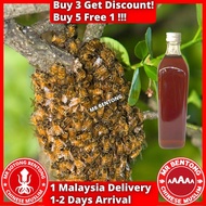 MR BENTONG HONEY Madu Asli Hutan Premium Pure Honey 野蜜蜂蜜 Tualang Kelulut Royale Jelly Sarang Lebah R