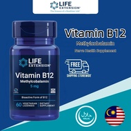Vitamin B12 Methylcobalamin, Nerve Health Supplement, Cognitive Support, Energy Vitamin, methylcobal