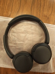 Sony 無線耳機