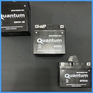 ☾ ❦ ◧ Quantum Motorcycle Battery Maintenance Free