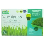 Paris Garden Wheatgrass Kit