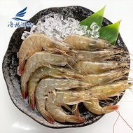 【海揚鮮物】活凍生白蝦40/50規格(800克/盒)-4盒組