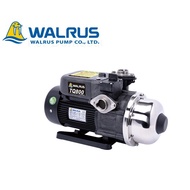 Walrus TQ800 Electronic Control Water Pump - For Domestic Use (Made In Taiwan)