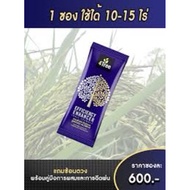 4 Tree EFFICIENCY ENHANCER