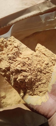 Laos Bubuk asli Murni