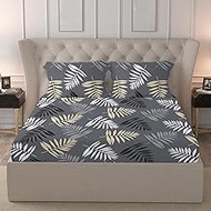 LOOMLYFE Cotton Feel Glace Cotton Elastic Fitted Printed Queen Size Double Bed Bedsheet with 2 Pillo