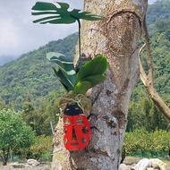 昆蟲造型蝴蝶蘭固定器　花盆裝飾　蘭花樹植　園藝資材