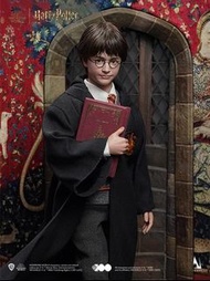 Inart Harry Potter 植髮板 哈利波特 神祕的魔法石  最後一隻