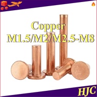 Copper countersunk head rivets GB869 percussion type flat head flat cone head solid rivets Copper d 