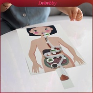 Lohobby Human Digestive System Model, Human Body Parts, Early Education, 3D Puzzle for