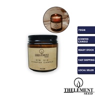 Scented Candle 100% Soy Wax / ETN E10 Hand Poured Scented Candle/ Aromatherapy Scented Candle Ready 