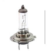 10x h7  12v 55w Bulbs Bulbs Car Lamp Bulb Halogen Lamp px26d Brand New