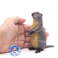 Munich Play - โมเดลสัตว์ Marmot มาร์มอต เทา ขนาด 10.50 CM (จากหาดใหญ่)