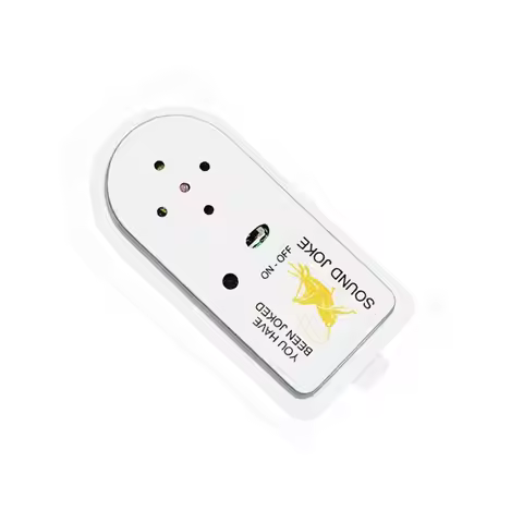 Annoying Pranks Cricket Noise Maker Sound Hiding Beeping Prank Sound Joke Practical Joke Small Size 