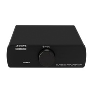 D300 Power Amplifier TPA3255 Class D HiFi Audio Amp for Passive Bookshelf Speake Mini Amp 300W Profe