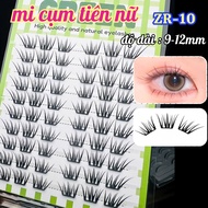 Fairy Cluster Paper Eyelashes 10 Rows Natural ZR10 Length 9-12mm GREEN Thuy Eyelashes