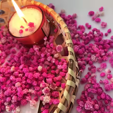 1 BOX Dried Flowers Artisan Dried Flower For Candle Making Soap Nail art Making DIY Candel Natural F