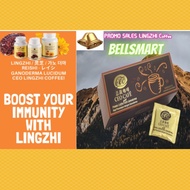 🔥Up immunity with CEO Lingzhi Coffee  with cane sugar