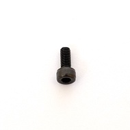 R805299 @ARC 2.5x6mm Cap Screw (10)