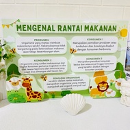 Popup 3d food chain poster 3d class decoration class decoration educational poster