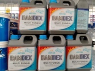 DAMDEX DAMDEK PENGERAS COR BETON ANTI BOCOR PELAPIS BAK KOLAM AN-Hosebuild