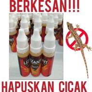Lizant racun cicak 100% cicak mati