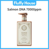 [LUCINDE]KOREA Salmon Ferment Ampoule Cream 300ml PDRN Fermented Nutrition Korea
