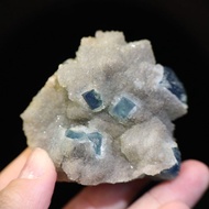 Kaguya's Dream | British Sunlight Fluorite 23B03DDS14