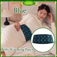 2PCS mugwort Belt warmer Herbal Belly Warming Patch  Wormwood Warmer Patch  Waist Abdomen Relief War