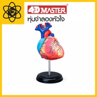 4D Vision 4D Heart Model