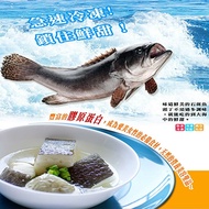 【海之醇】 台灣龍膽石斑魚頭丁-9包組(350g/包)