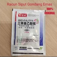 Siput Gondong Emas 1pack (40g)