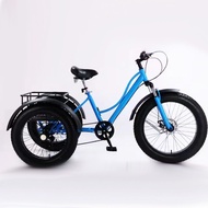 Luffy Bicycle Tricycle 80cm Fat Tire Tricycle Snow Tricycle Adult Elderly Vegetable Basket Car