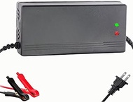 73V 10A LiFePO4 Battery Charger for 60V (64V 20Strings) Lithium Iron Phosphate Battery,Smart Lithium