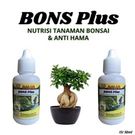 Nutrisi Tanaman Bonsai, Hormon Bonsai Adenium, Pupuk Nutrisi Bonsai