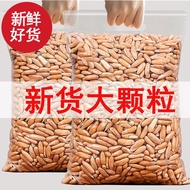 Pine nut Extra Large Particles Brazilian Big pine Nuts Original Nuts Afghanistan Hand-Peeled pine Nu