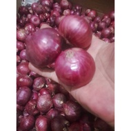 Bawang Merah India / Bawang Peking 1kg