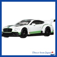 Hot Wheels Wild Speed - 2018 Bentley Continental GT3 Toy Vehicle Mini Car for Ages 3 and Up - White 